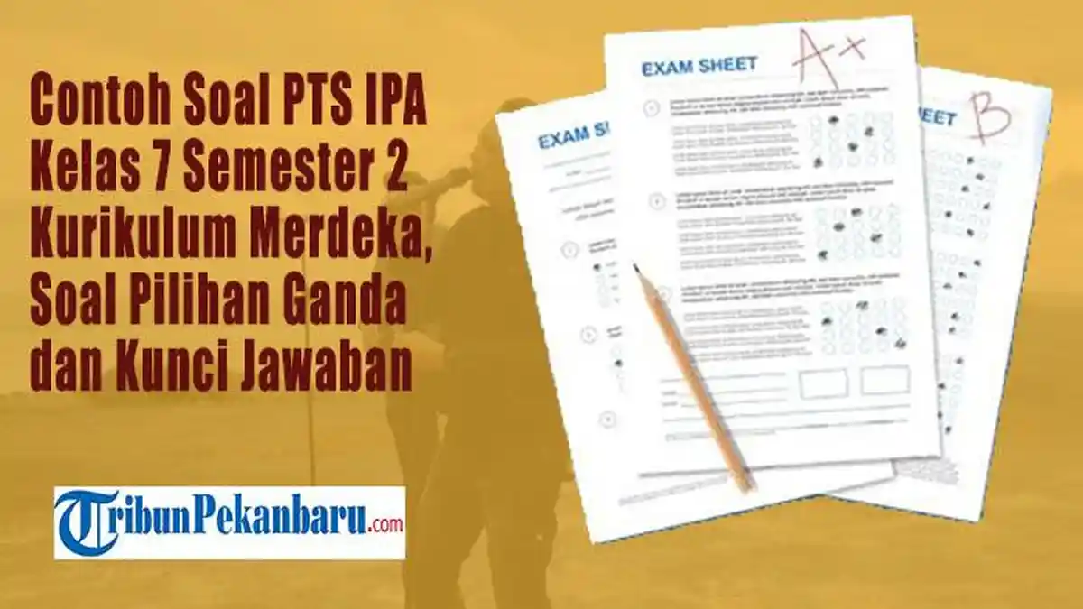 Ternyata 50 Soal IPA Kelas 7 Semester 2 Ini Bisa Membantu Kamu