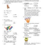 5 Fakta Mengejutkan Soal UTS Bahasa Inggris Kelas 5 Semester 2 yang Selama Ini Salah Dipahami