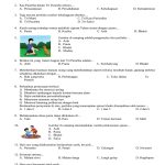 Ternyata Ini Cara Mudah Download Contoh Soal Agama Hindu Kelas 3 SD untuk Persiapan Ulangan yang Jarang Diketahui Ternyata Ini Cara Mudah Download Contoh Soal Agama Hindu Kelas 3 SD untuk Persiapan Ulangan yang Jarang Diketahui