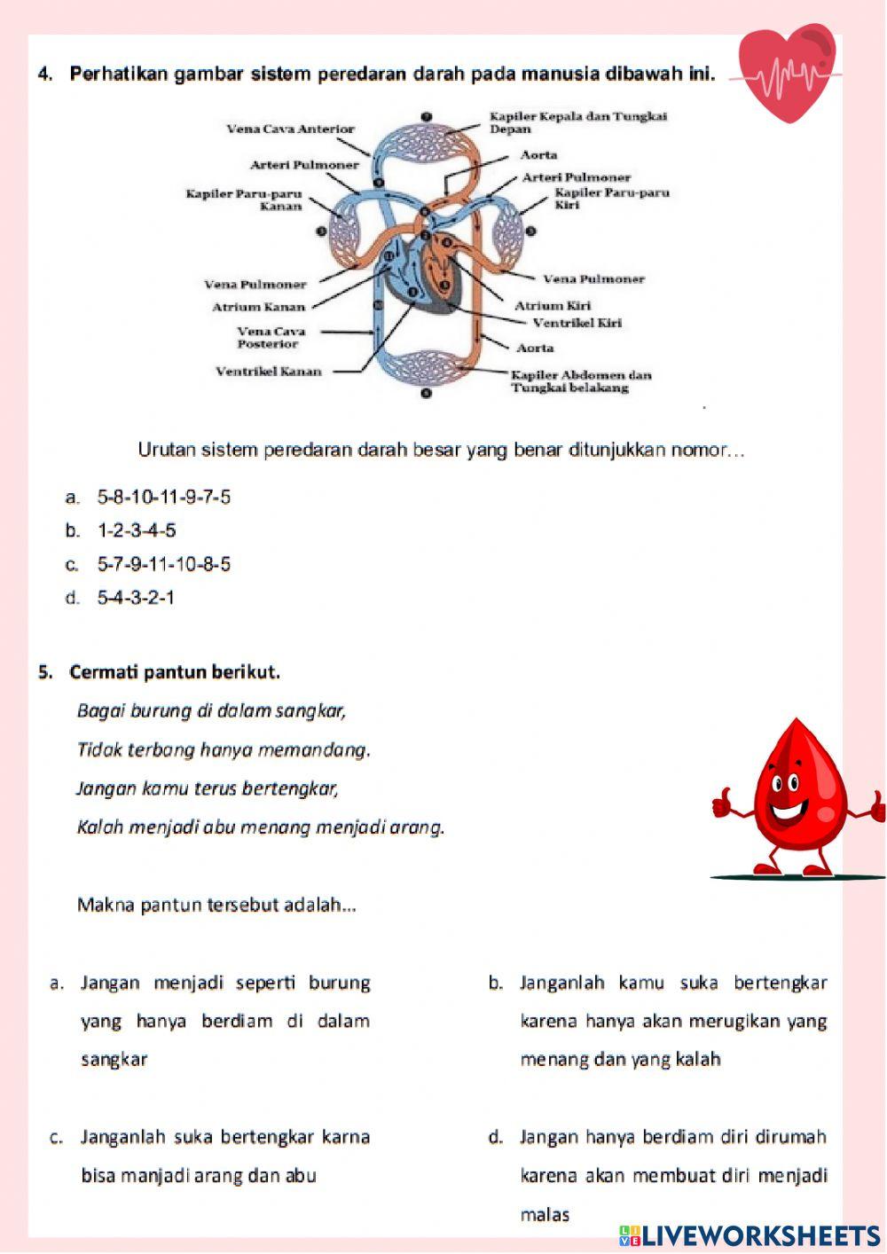 Rahasia Jawaban Benar Soal Pilihan Ganda Kelas 5 Tema 4 Subtema 1 yang Wajib Tahu Rahasia Jawaban Benar Soal Pilihan Ganda Kelas 5 Tema 4 Subtema 1 yang Wajib Tahu